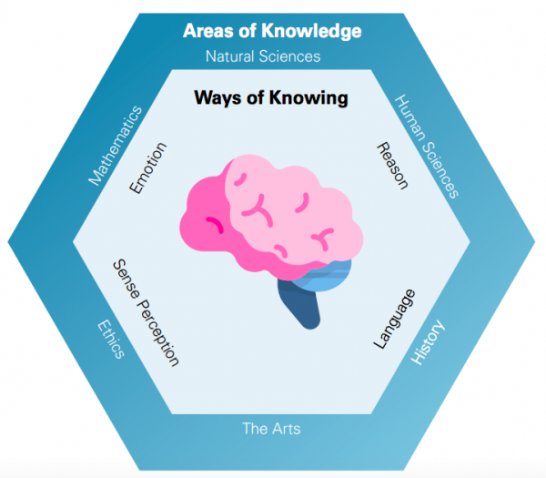 Ib theory of knowledge essay